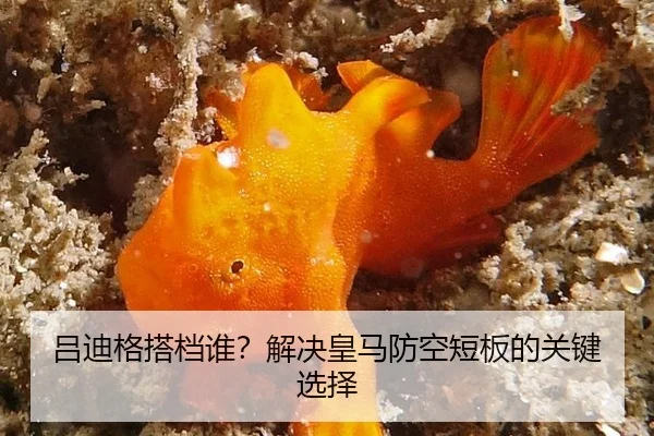 lv-di-ge-da-dang-shui-jie-jue-huang-ma-fang-kong-duan-ban-de-guan-jian-xuan-ze-3-795.jpg